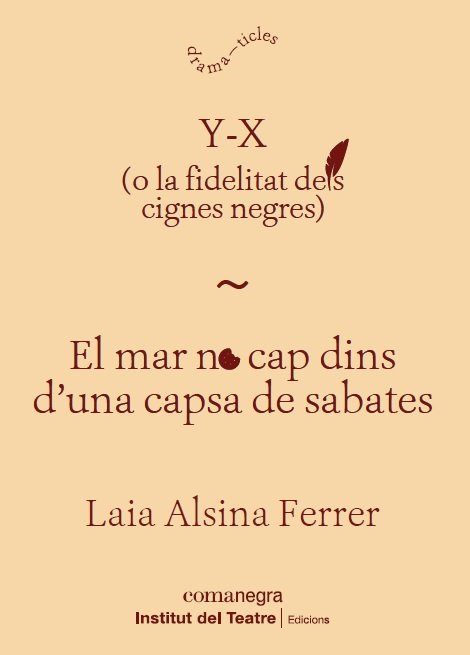 Y-X / EL MAR NO CAP DINS D'UNA CAPSA DE SABATES, de ALSINA FERRER, LAIA | portada del libro