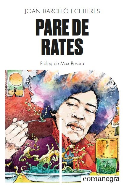 Pare de rates, de Barceló i Cullerés, Joan | portada del libro