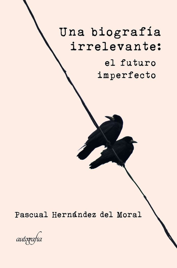 Una biografía irrelevante, de Hernandez del Moral, Pascual | portada del libro