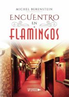 Encuentro en Flamingos, de MICHEL BERENSTEIN | portada del libro