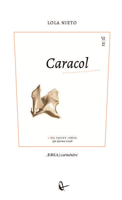 Caracol, de NIETO, LOLA | portada del libro