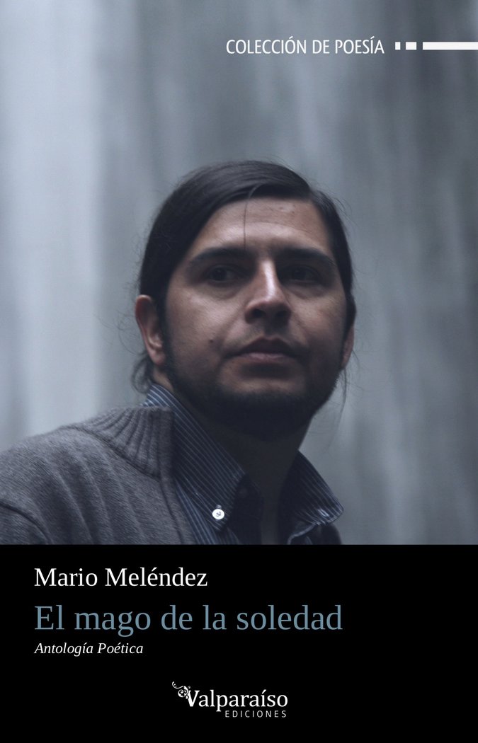 EL MAGO DE LA SOLEDAD, de MELÉNDEZ, MARIO | portada del libro