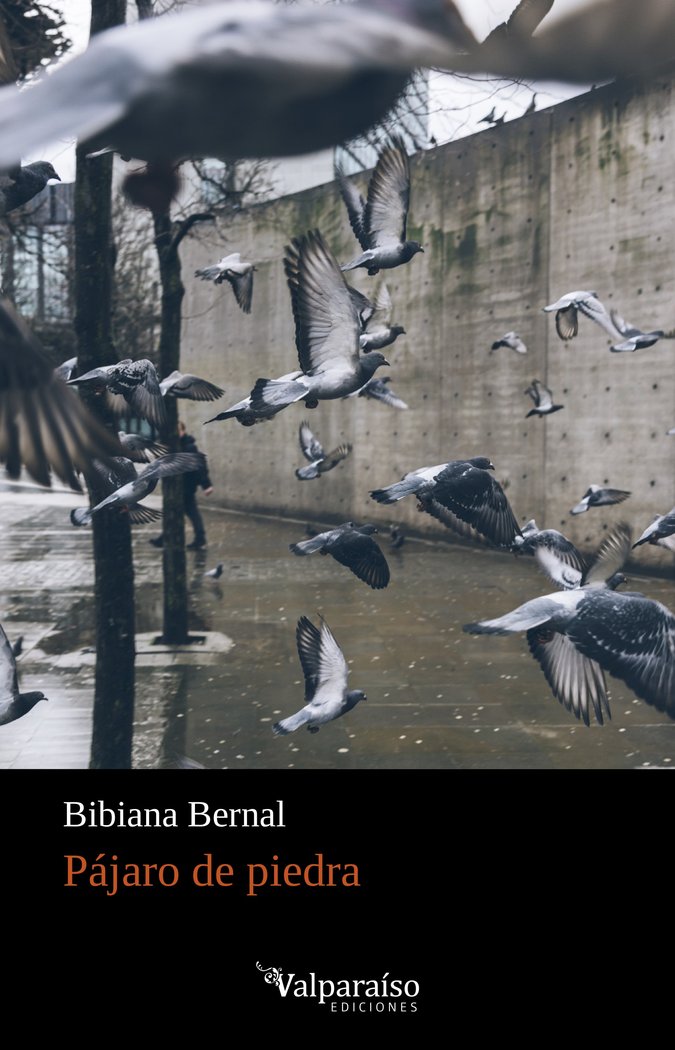 PAJARO DE PIEDRA, de BERNAL, BIBIANA | portada del libro