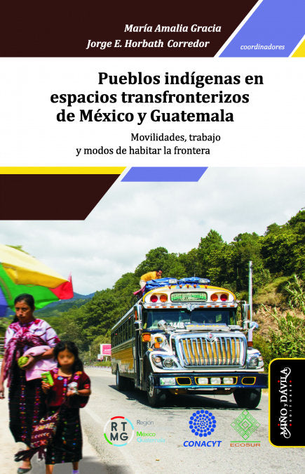 PUEBLOS INDIGENAS EN ESPACIOS TRANSFRONTERIZOS DE MEXICO Y G, de GRACIA, MARIA AMALIA | portada del libro