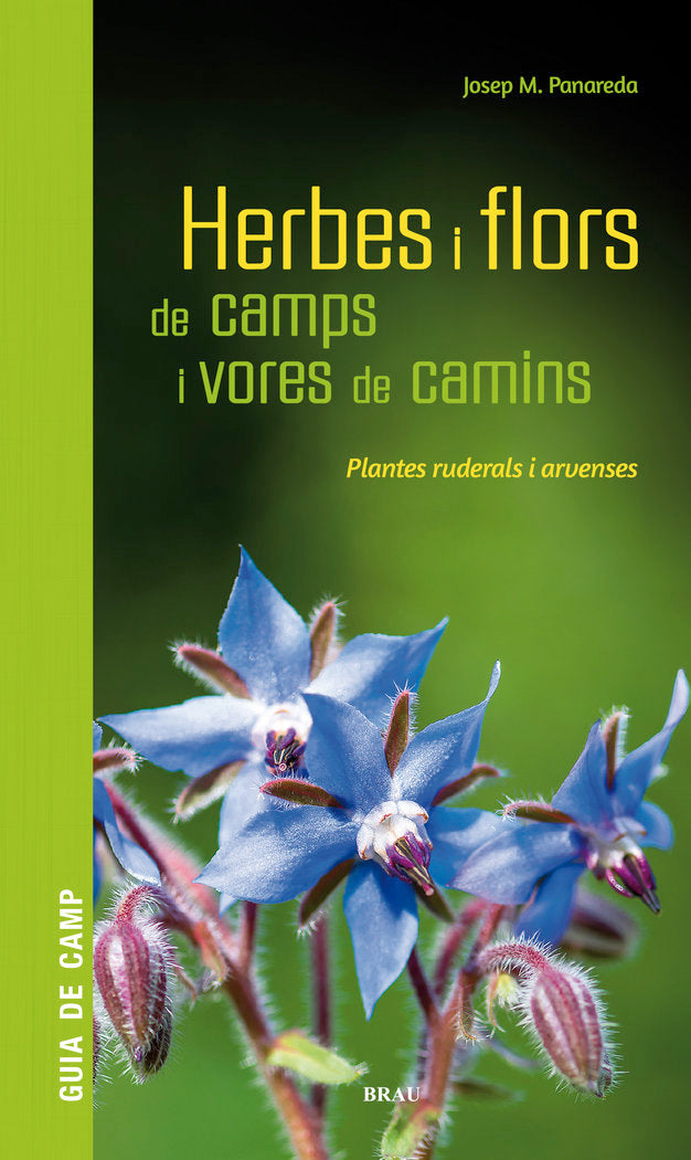 Herbes i flors de camps i vores de camins, de PANAREDA CLOPES, JOSEP M | portada del libro