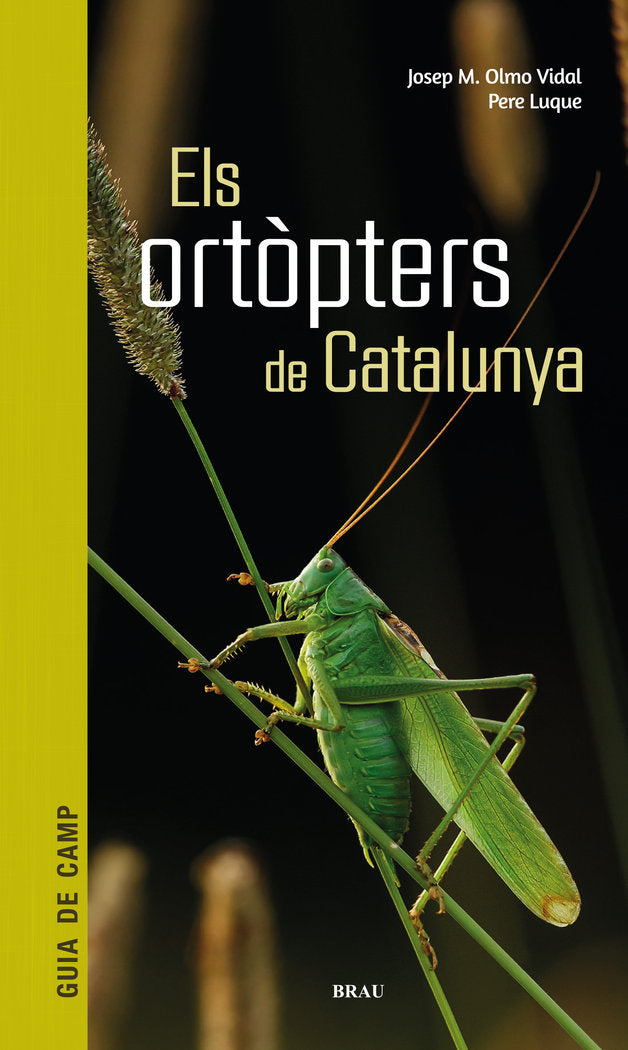 ELS ORTOPTERS DE CATALUNYA, de OLMO VIDAL, JOSEP M | portada del libro