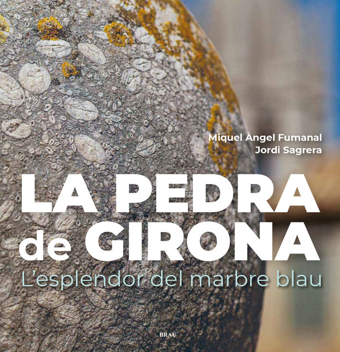 La pedra de Girona, de FUMANAL PAGÔS, MIQUEL ·NGEL | portada del libro