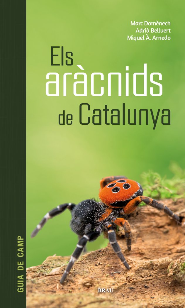 ELS ARACNIDS DE CATALUNYA, de DOMÔNECH ANDREU, MARC | portada del libro