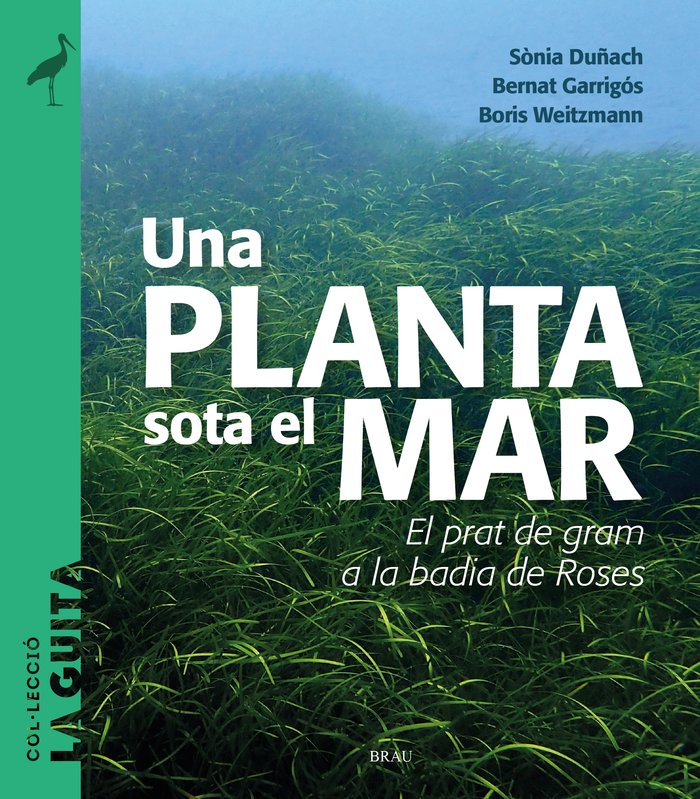 Una planta sota el mar, de DUÑACH, SÃNIA | portada del libro