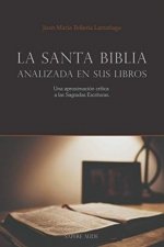 LA SANTA BIBLIA ANALIZADA EN SUS LIBROS, de TELLERIA LARRAÑAGA, JUAN MARIA | portada del libro