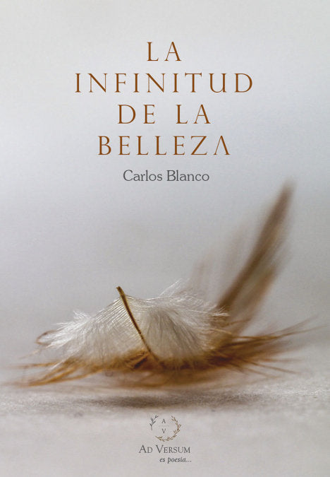 LA INFINITUD DE LA BELLEZA, de BLANCO, CARLOS | portada del libro