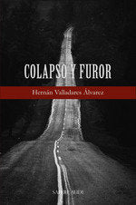 Colapso y furor, de VALLADARES ALVAREZ, HERNAN | portada del libro