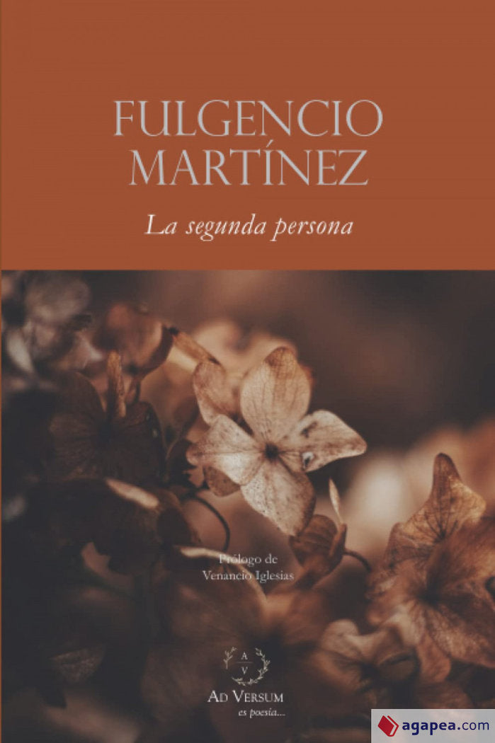 La segunda persona, de MARTINEZ LOPEZ, FULGENCIO | portada del libro