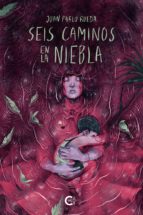 (I.B.D.) SEIS CAMINOS EN LA NIEBLA, de JUAN PABLO RUEDA | portada del libro