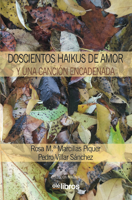 Doscientos haikus de amor y una canción encadenada, de Villar Sánchez, Pedro | portada del libro
