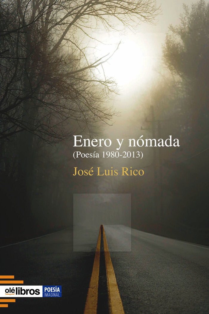 Enero y nómada, de RICO MARTÃN, JOSÃ‰ LUIS | portada del libro