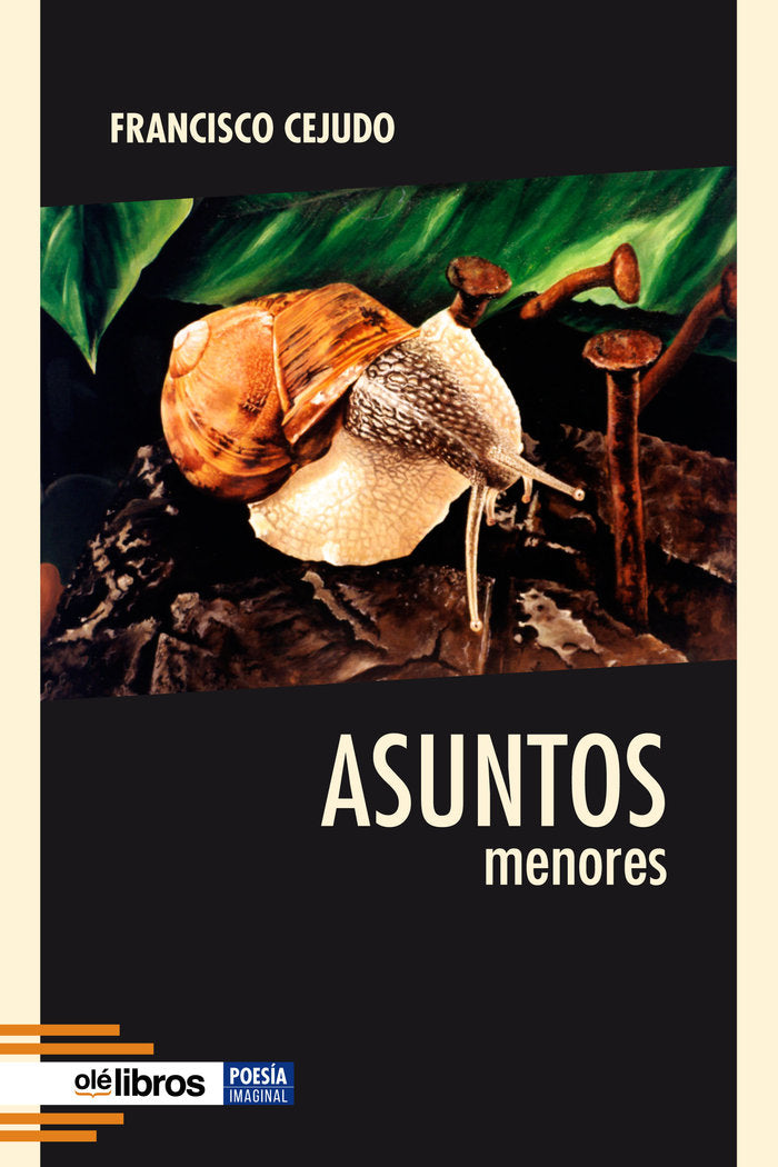 Asuntos menores, de Cejudo Granado, Francisco | portada del libro