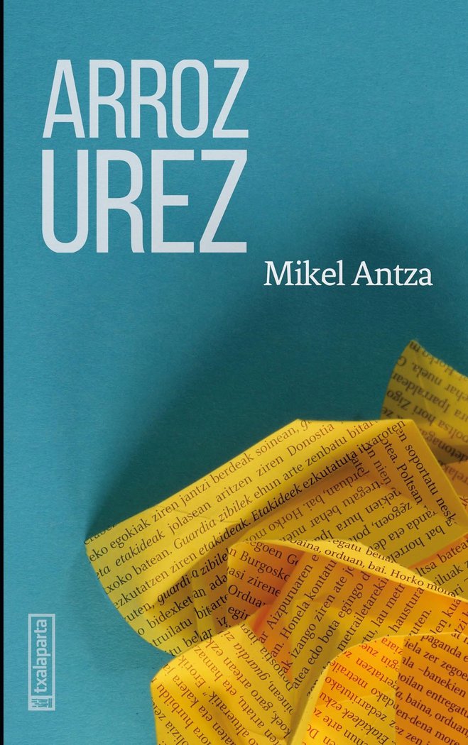 LERROARTE IKUSEZINAK EUSKERA, de ANTZA,MIKEL | portada del libro