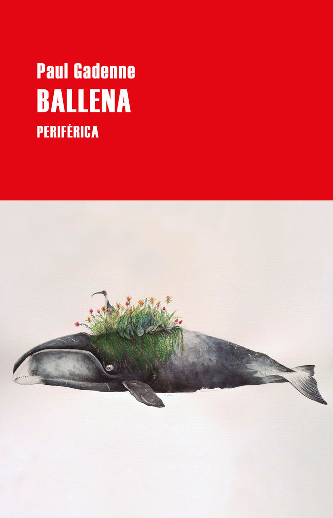 Ballena, de Gadenne, Paul | portada del libro