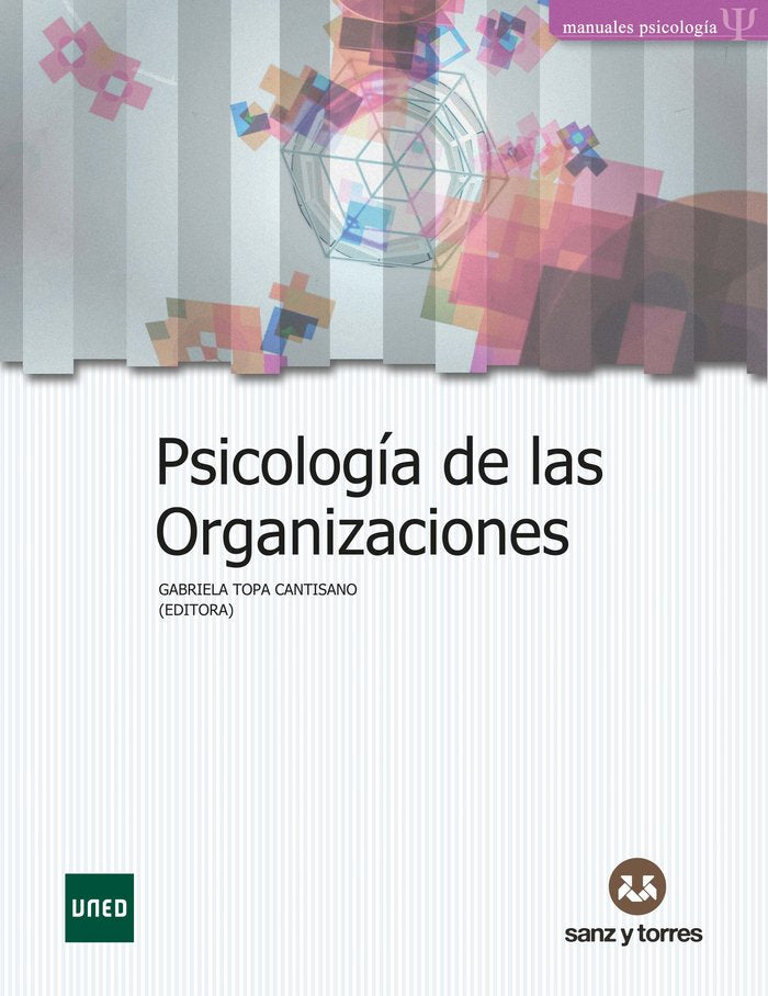 PSICOLOGIA DE LAS ORGANIZACIONES, de TOPA CANTISANO, GABRIELA ELBA | portada del libro