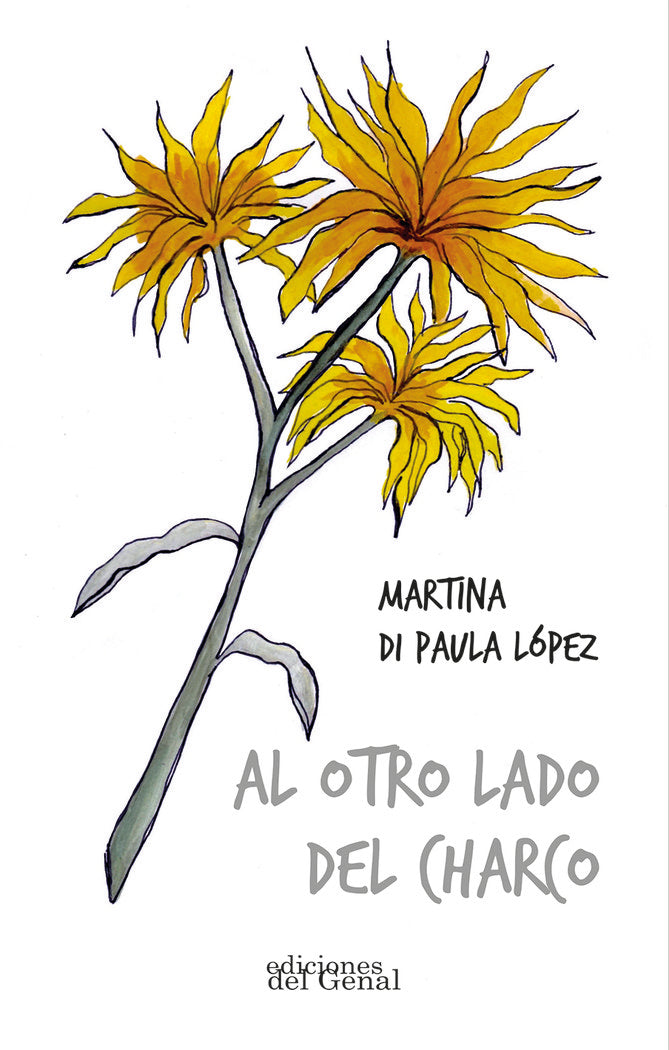 AL OTRO LADO DEL CHARCO, de DI PAULA LOPEZ, MARTINA | portada del libro