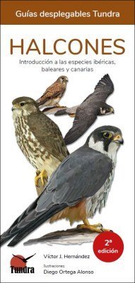 HALCONES - GUIAS DESPLEGABLES TUNDRA, de HERNANDEZ | portada del libro