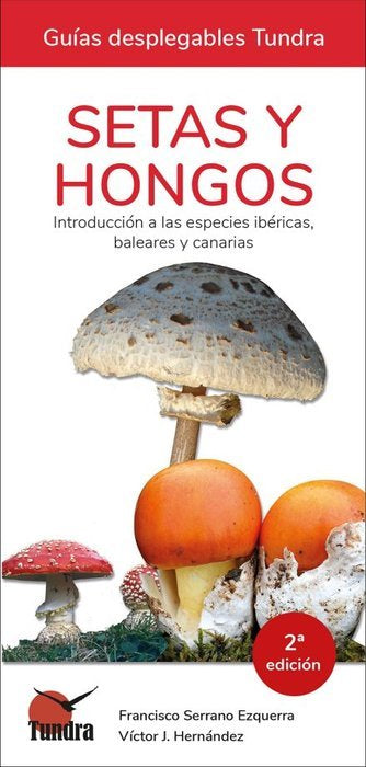 SETAS Y HONGOS. INTRODUCCION A LAS ESPECIES IBERICAS, BALEARES Y CANARIAS, de HERNANDEZ | portada del libro
