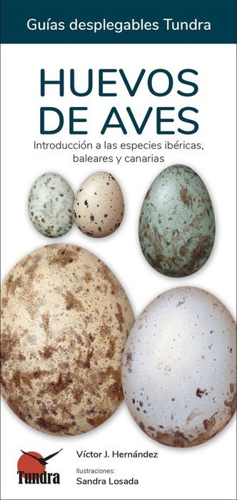 HUEVOS DE AVES - GUIAS DESPLEGABLES TUNDRA, de HERNANDEZ | portada del libro