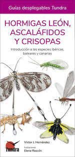HORMIGAS LEON, ASCALAFIDOS Y CRISOPAS | portada del libro