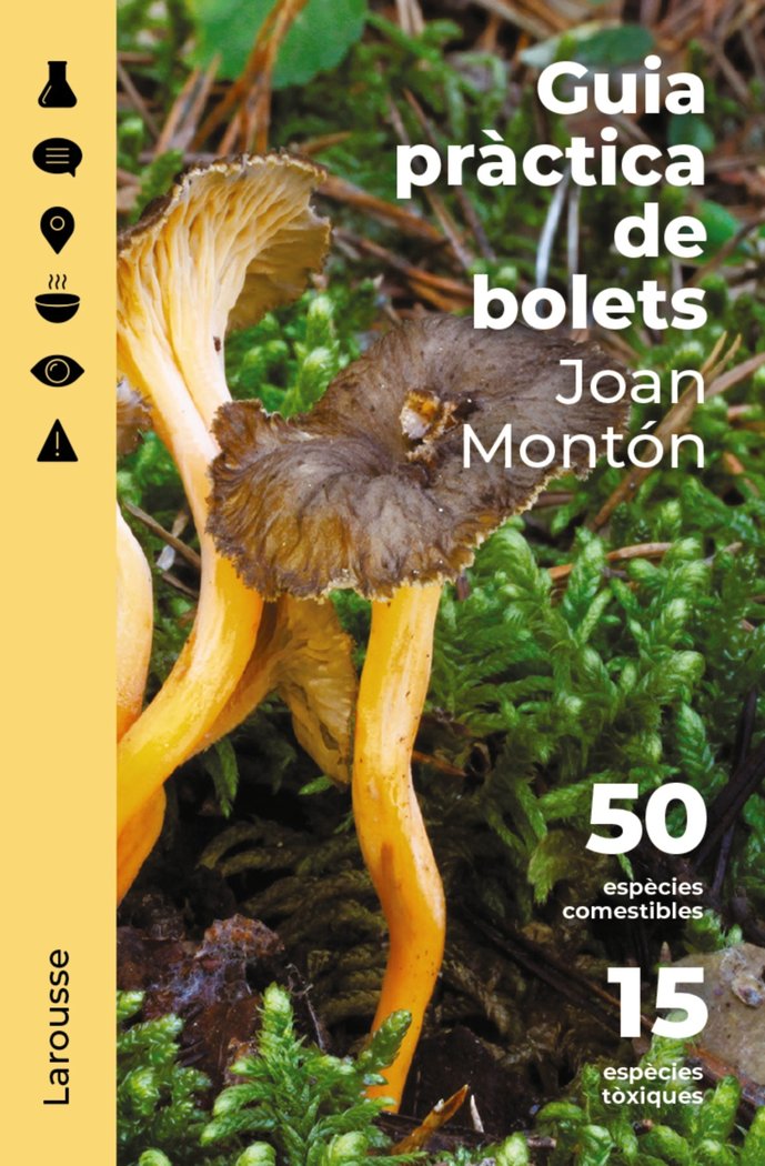 GUIA PRACTICA DE BOLETS, de MONTON MARTINEZ, JOAN | portada del libro