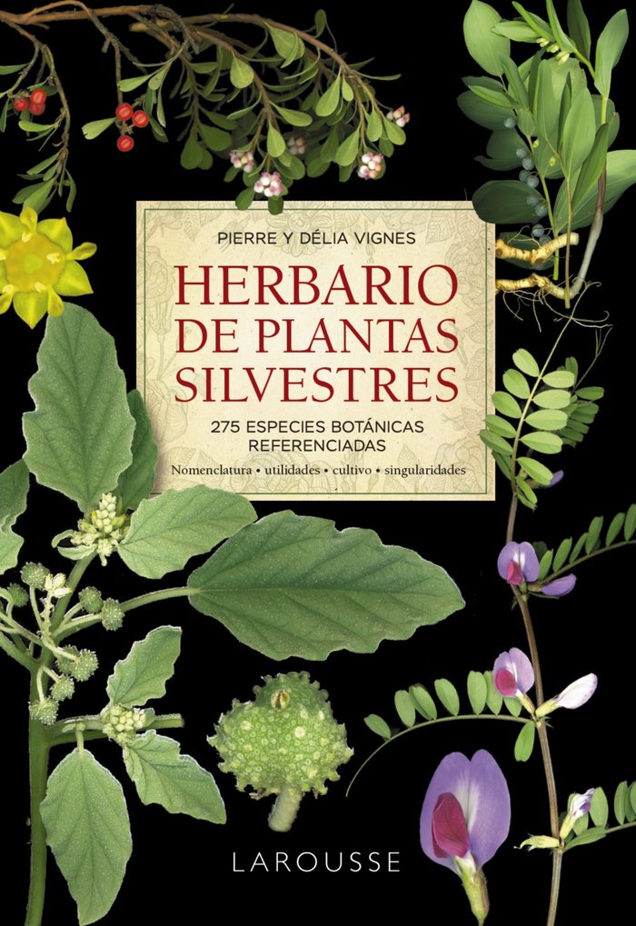Herbario de plantas silvestres, de VIGNES, PIERRE | portada del libro