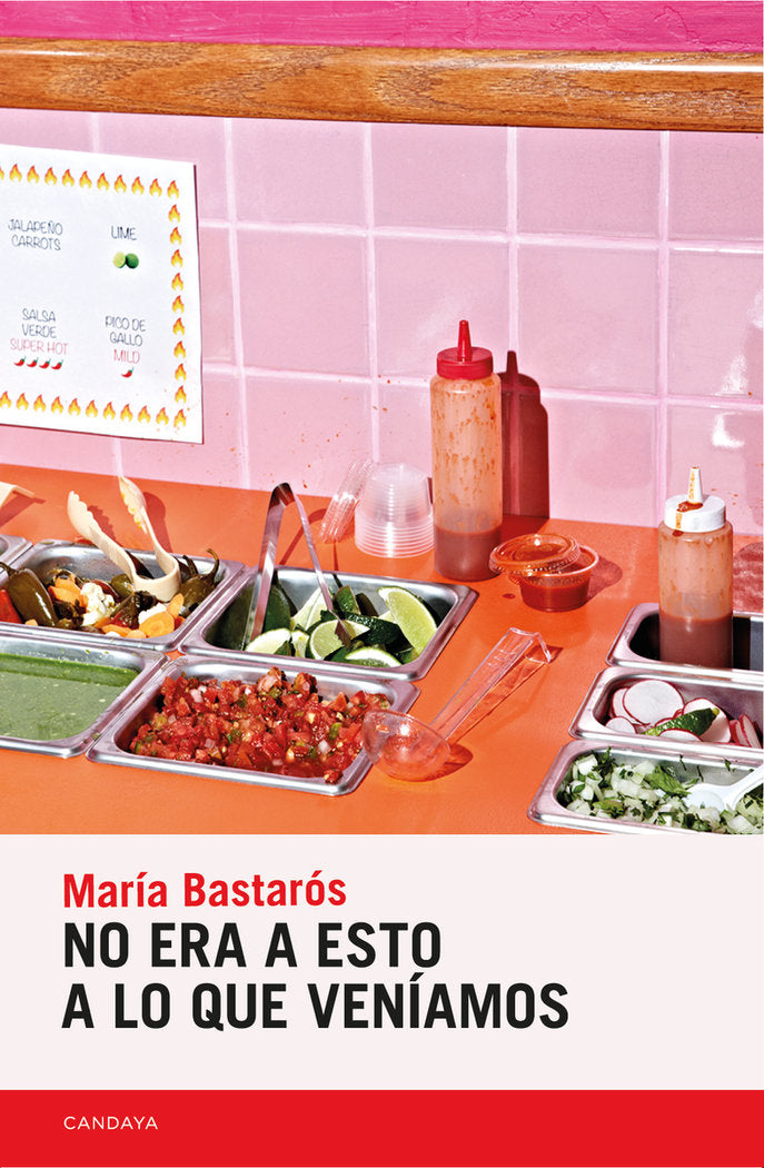 NO ERA A ESTO A LO QUE VENIAMOS, de , MARIA BASTAROS | portada del libro
