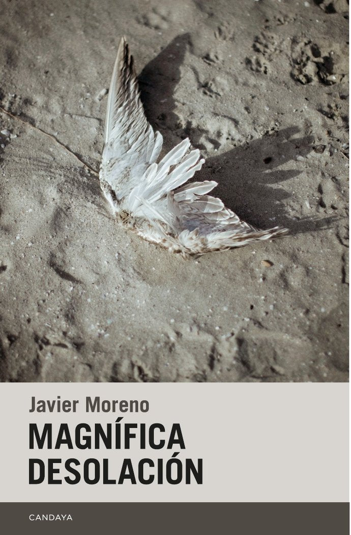 MAGNIFICA DESOLACION, de MORENO , JAVIER | portada del libro