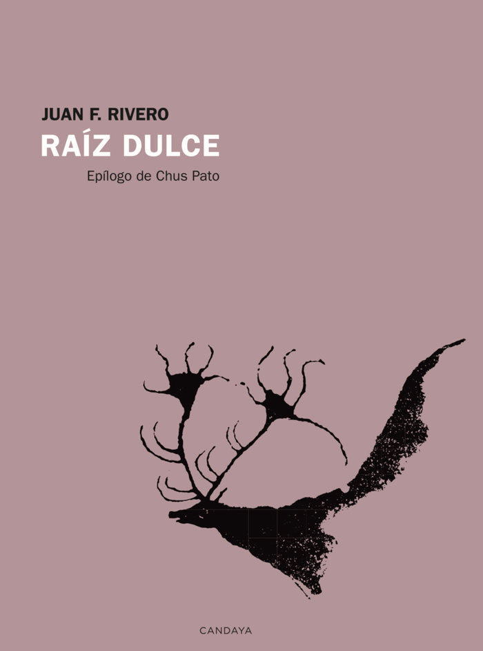 RAIZ DULCE, de RIVERO, JUAN F. | portada del libro