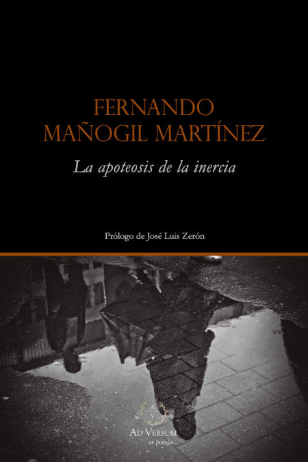Bajo los pies de la lluvia, de SAARI, RAMI | portada del libro