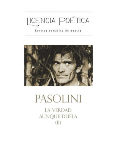 LICENCIA POETICA 17, de VARIOS AUTORES | portada del libro