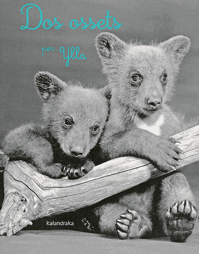 DOS OSSETS, de YLLA (KOFFLER, CAMILLA) | portada del libro