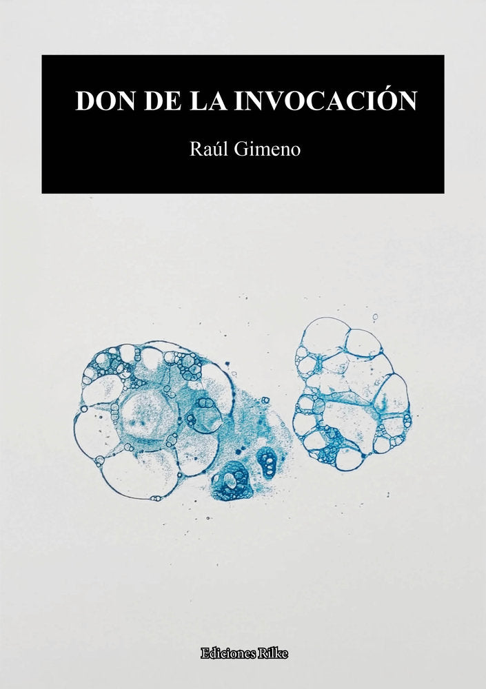 DON DE LA INVOCACIÓN, de Gimeno, Raúl | portada del libro