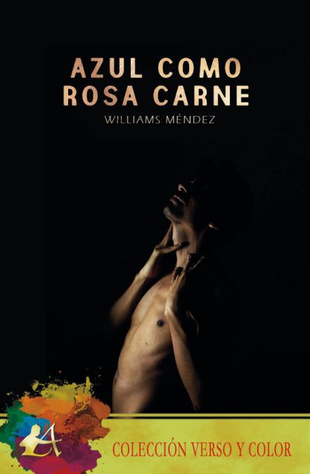 Azul como rosa carne, de Méndez, Williams | portada del libro
