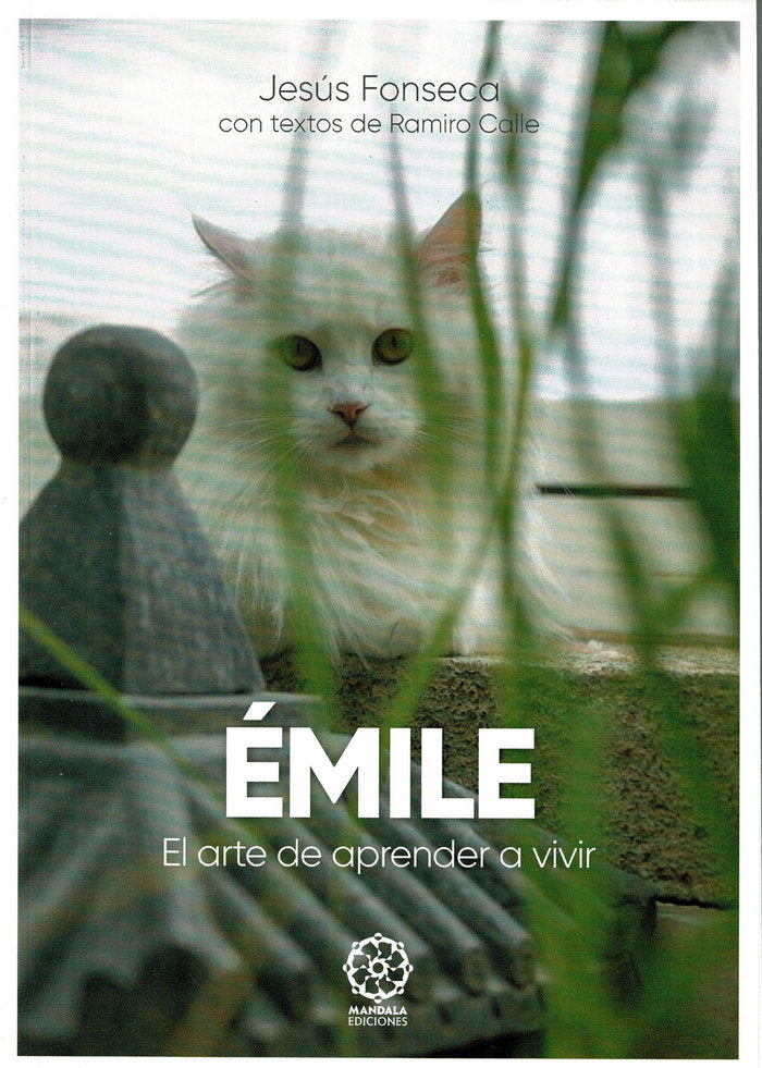 Émile. El arte de aprender a vivir, de Calle, Ramiro | portada del libro