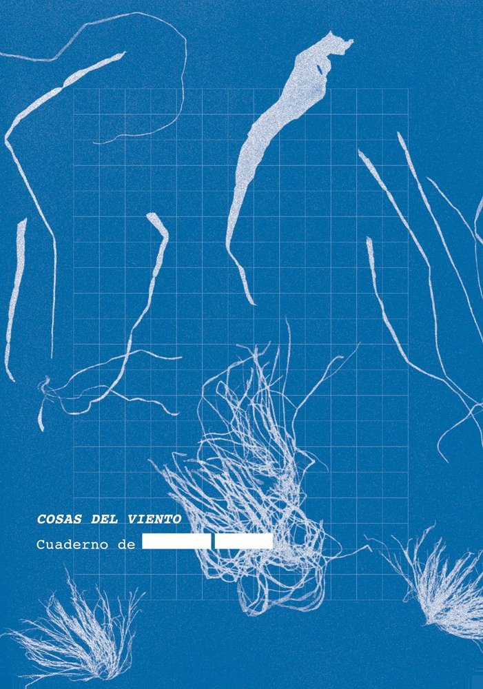 COSAS DEL VIENTO, de ANONIMO | portada del libro