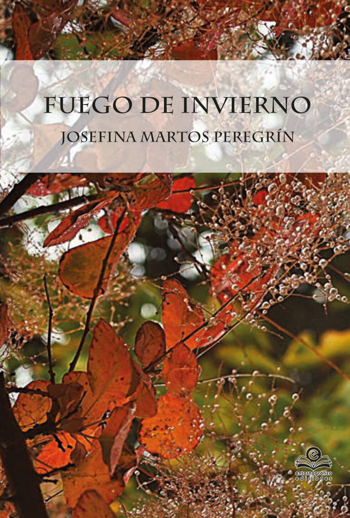 FUEGO DE INVIERNO, de MARTOS PEREGRIN JOSEFINA | portada del libro
