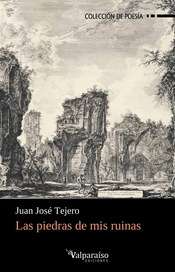 LAS PIEDRAS DE MIS RUINAS, de TEJERO, JUAN JOSE | portada del libro