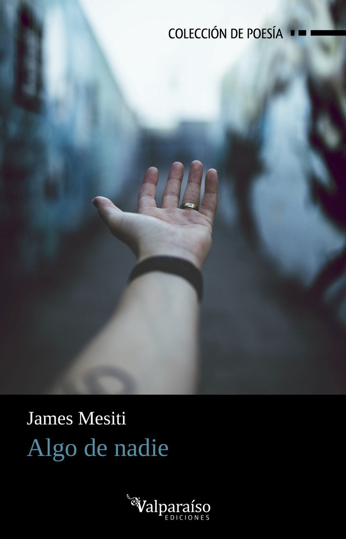 ALGO DE NADIE, de MESITI, JAMES | portada del libro