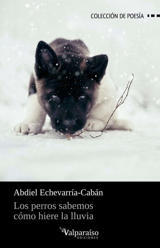 LOS PERROS SABEMOS COMO HIERE LA LLUVIA, de ECHEVARRIA-CABAN, ABDIEL | portada del libro