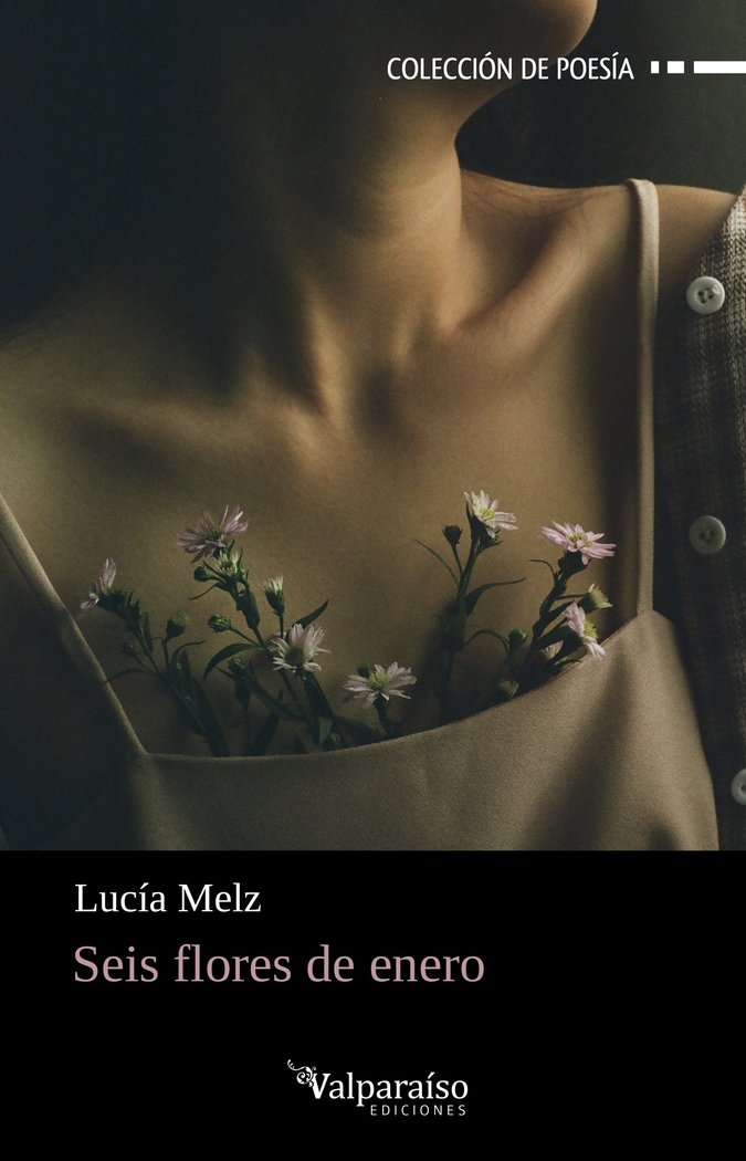 SEIS FLORES DE ENERO, de MELZ, LUCIA | portada del libro