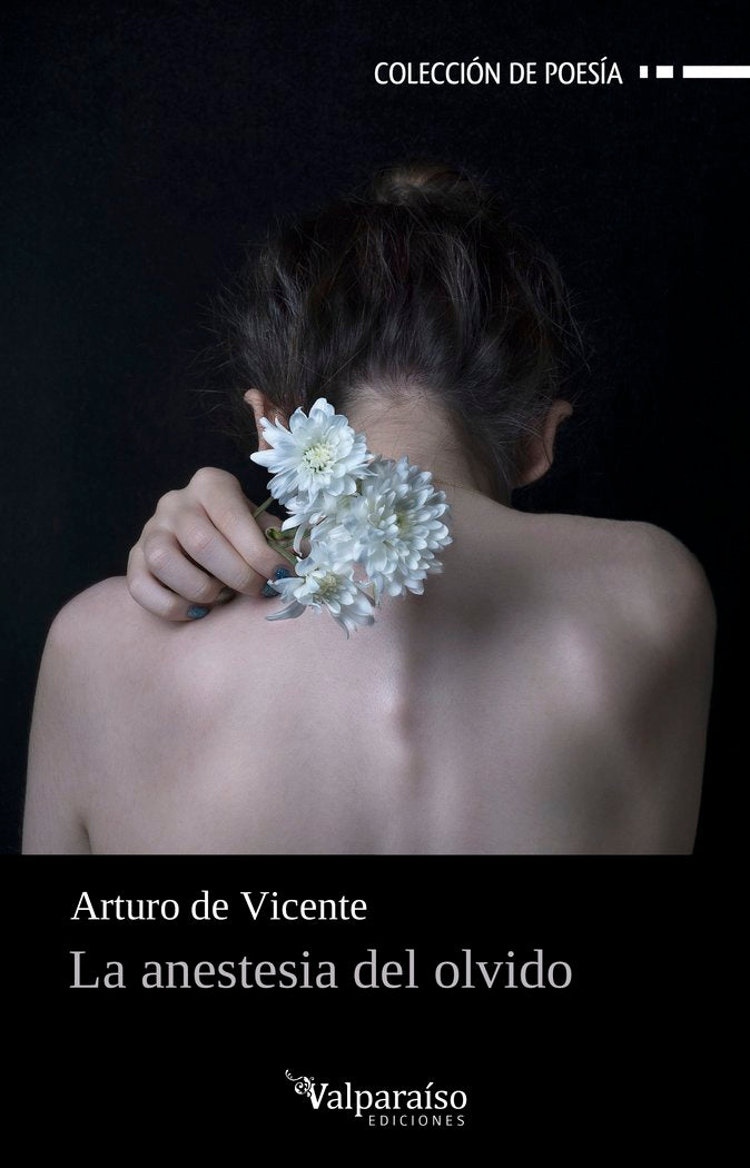LA ANESTESIA DEL OLVIDO, de DE VICENTE, ARTURO | portada del libro