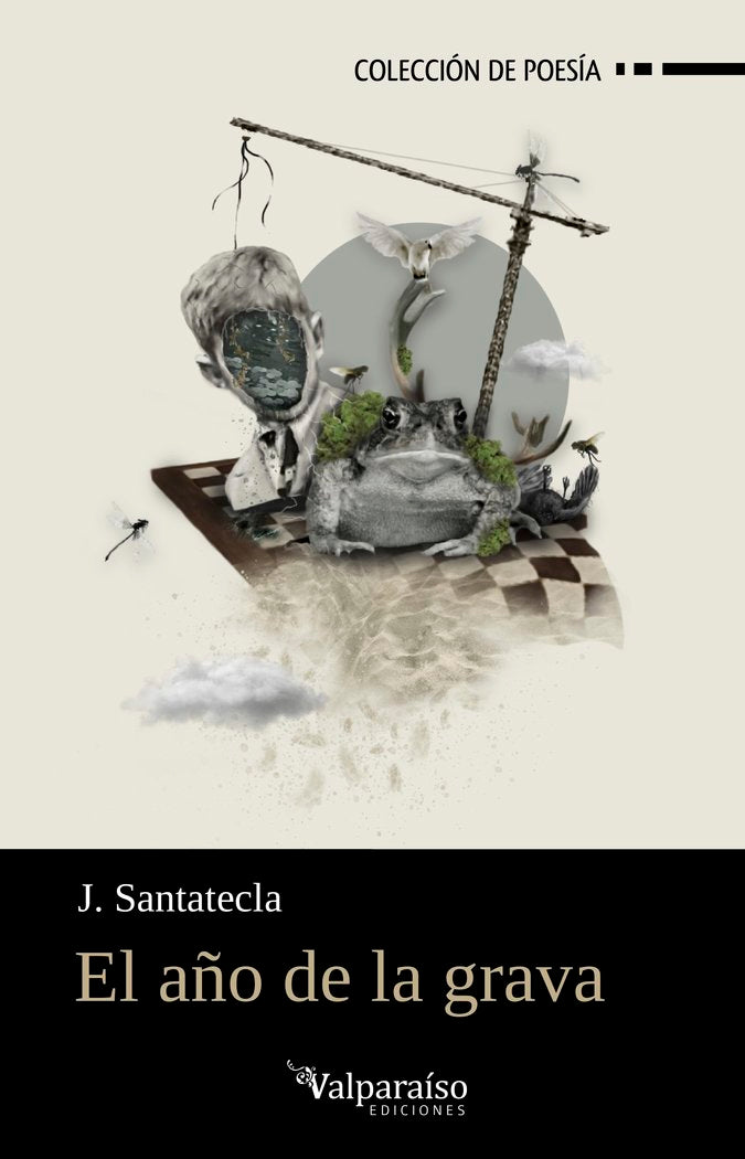 EL AÑO DE LA GRAVA, de SANTATECLA, J. | portada del libro