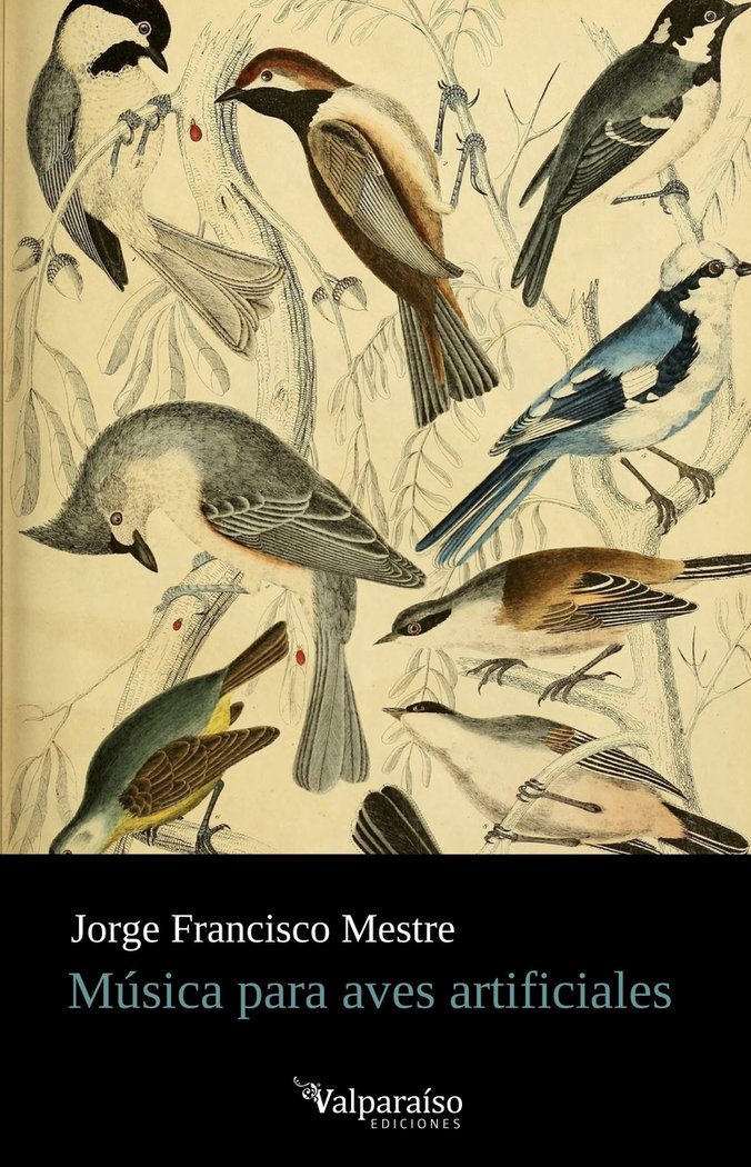 MUSICA PARA AVES ARTIFICIALES, de MESTRE, JORGE FRANCISCO | portada del libro