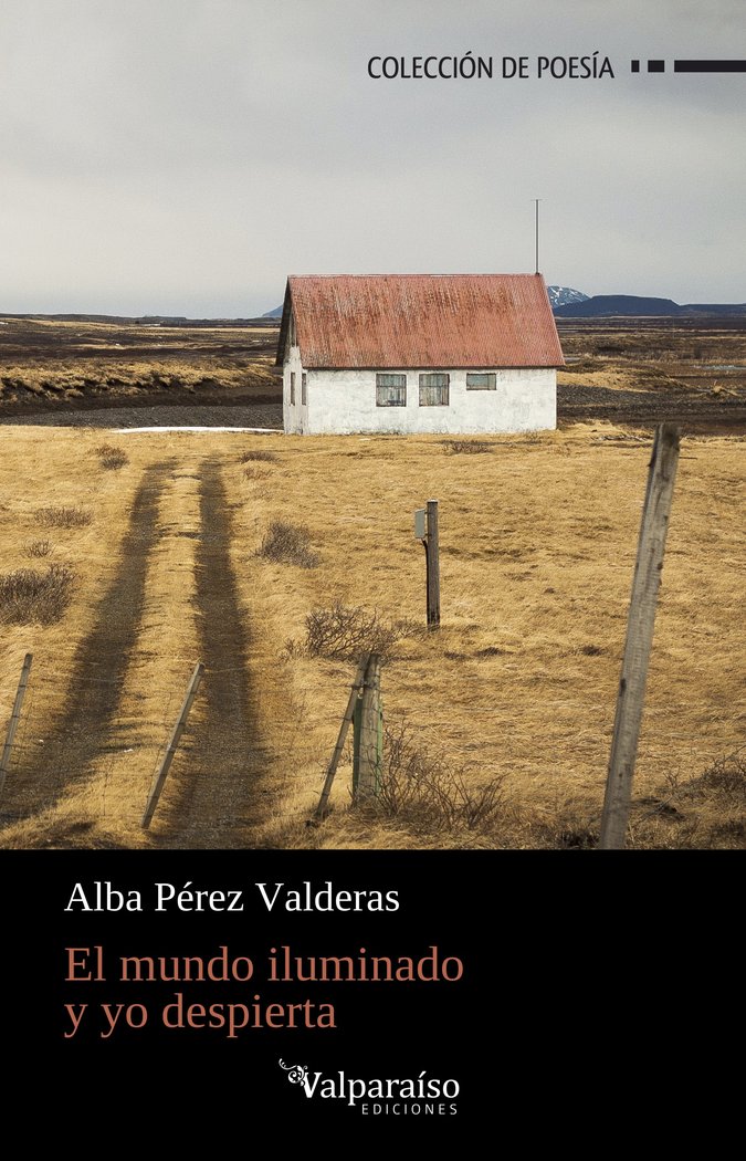 EL MUNDO ILUMINADO Y YO DESPIERTA, de PEREZ VALDERAS, ALBA | portada del libro